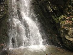 -藏龙百瀑风景区