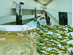 -中国湿地博物馆