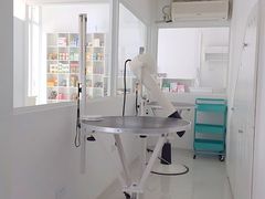 -BABYDOG宝贝狗宠物乐园(欧洲城店)
