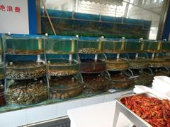 水产区-同道蒸汽海鲜烧烤自助(刘庄夜市店)