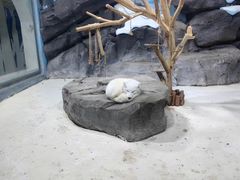 -海合安青岛极地海洋公园