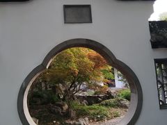 -扬州大运河文化旅游度假区·盆景园