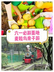 -麦粒鸟亲子游