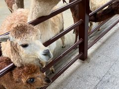 -杭州野生动物世界