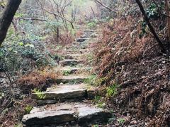 -黄陂区野村谷景区