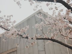 -龙美术馆(西岸馆)