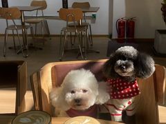 -2326 Coffee Roaster咖啡豆可选店(林肯公园店)
