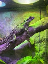 -酷嗒动物文化乐园(cutezoo西溪乐天城店)