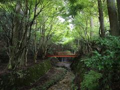 -三千院