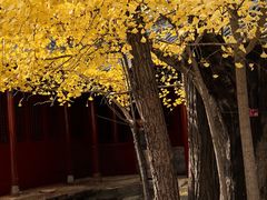 -承恩寺