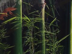-碑林公园