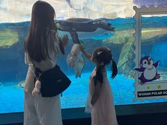 -海合安武汉极地海洋公园