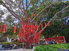 -大梅沙海滨公园