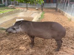 -西霞口神雕山野生动物世界