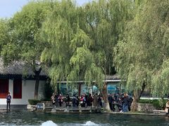 -百脉泉景区