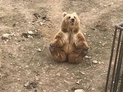 -哈尔滨北方森林动物园