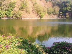 -王借岗森林公园