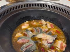 -桃源村铁锅炖鱼(体育馆道店)