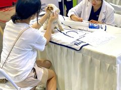 -南宁国际会展中心
