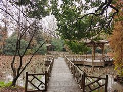 -上海滨江森林公园