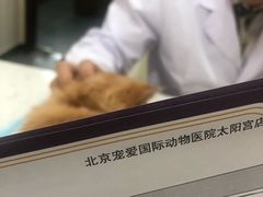 -宠爱国际动物医院·疑难骨科·心肾内科·皮肤科(太阳宫店)