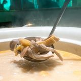 南宁探店 | 一家专心做猪肚包鸡的店🫕