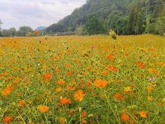 -贵阳市花溪国家城市湿地公园