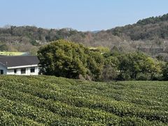 -中国茶叶博物馆(双峰馆区)