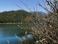 -广州市流溪河国家森林公园