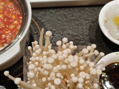 -蒙都43°9羊火锅(平庄店)