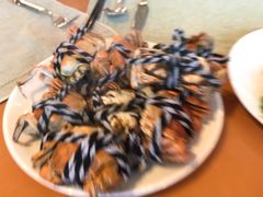 -视界美食自助餐厅·石家庄希尔顿酒店