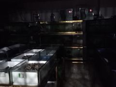 -小贝壳酒楼(经九路店)