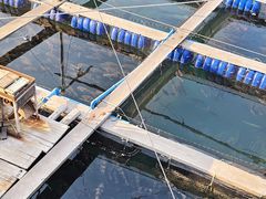 -蓝湾碧波·老字号·疍家非遗海上餐厅