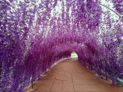 -珠海海泉湾神秘岛亲子乐园