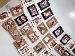-瑞派康怡24h宠物医院·犬猫医疗中心·微创绝育(瑞景分院)