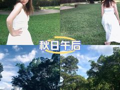 -东莞植物园