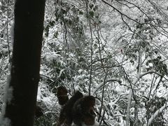 -九峰山