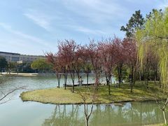 -上海佘山茂御臻品之选酒店(原佘山艾美酒店)