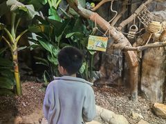 -正佳雨林生态植物园