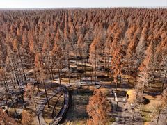 -黄海国家森林公园