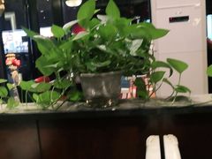 大堂-老牌坊•鲁菜名店•地道济南菜(大观园商埠店)