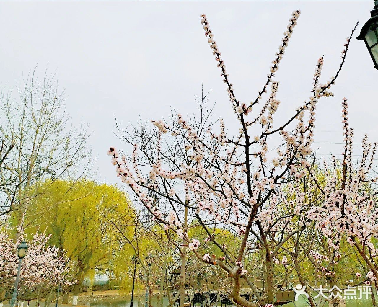 溜娃圣地[糖果]蓝可可亲子乐国[礼花]