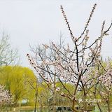 溜娃圣地[糖果]蓝可可亲子乐国[礼花]