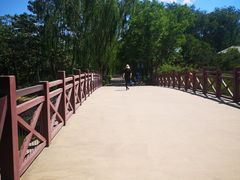 -大兴滨河森林公园