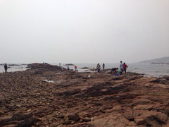 iphone_upload_pic-八大关景区