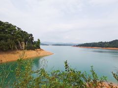 -广州市流溪河国家森林公园