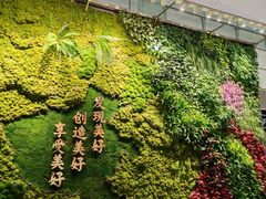 -郑州新郑国际机场-T2航站楼
