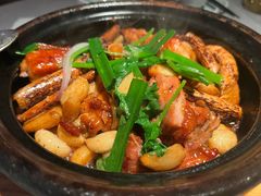 五指毛桃啫鸡-晓粤·惹味粤菜(凯德乐峰广场店)