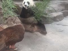 -宁波野生动物园