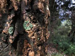 -金堂县云顶石城风景区